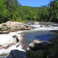 Bull Sluice Rapids on the Chattooga River - Long Creek SC