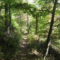 Green Mountain Hiking Trail - Blue Ridge GA